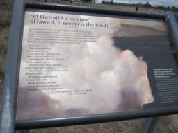 fohawaii 070